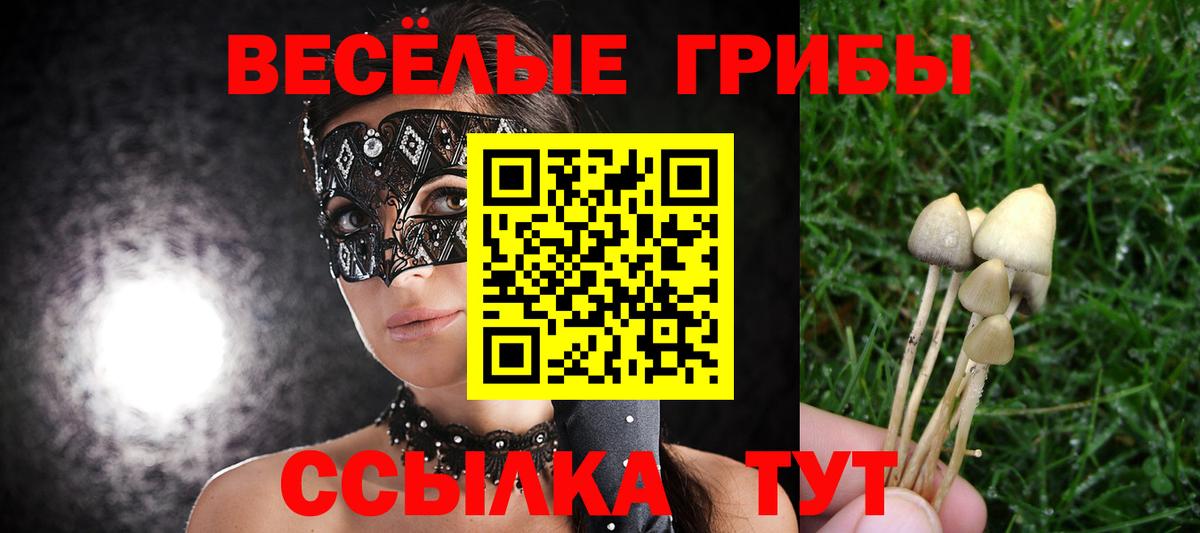 Великий Устюг  Псилоцибиновые грибы MAGIC MUSHROOMS  Вход с VPN 