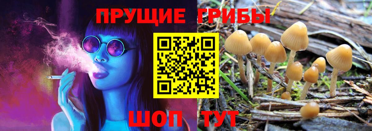 Галлюциногенные грибы Cubensis Великий Устюг